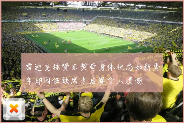 雷迪克称赞东契奇身体状态如新秀年却因伤缺席季后赛令人遗憾